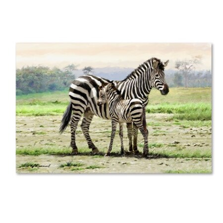 The Macneil Studio 'Zebra' Canvas Art,16x24